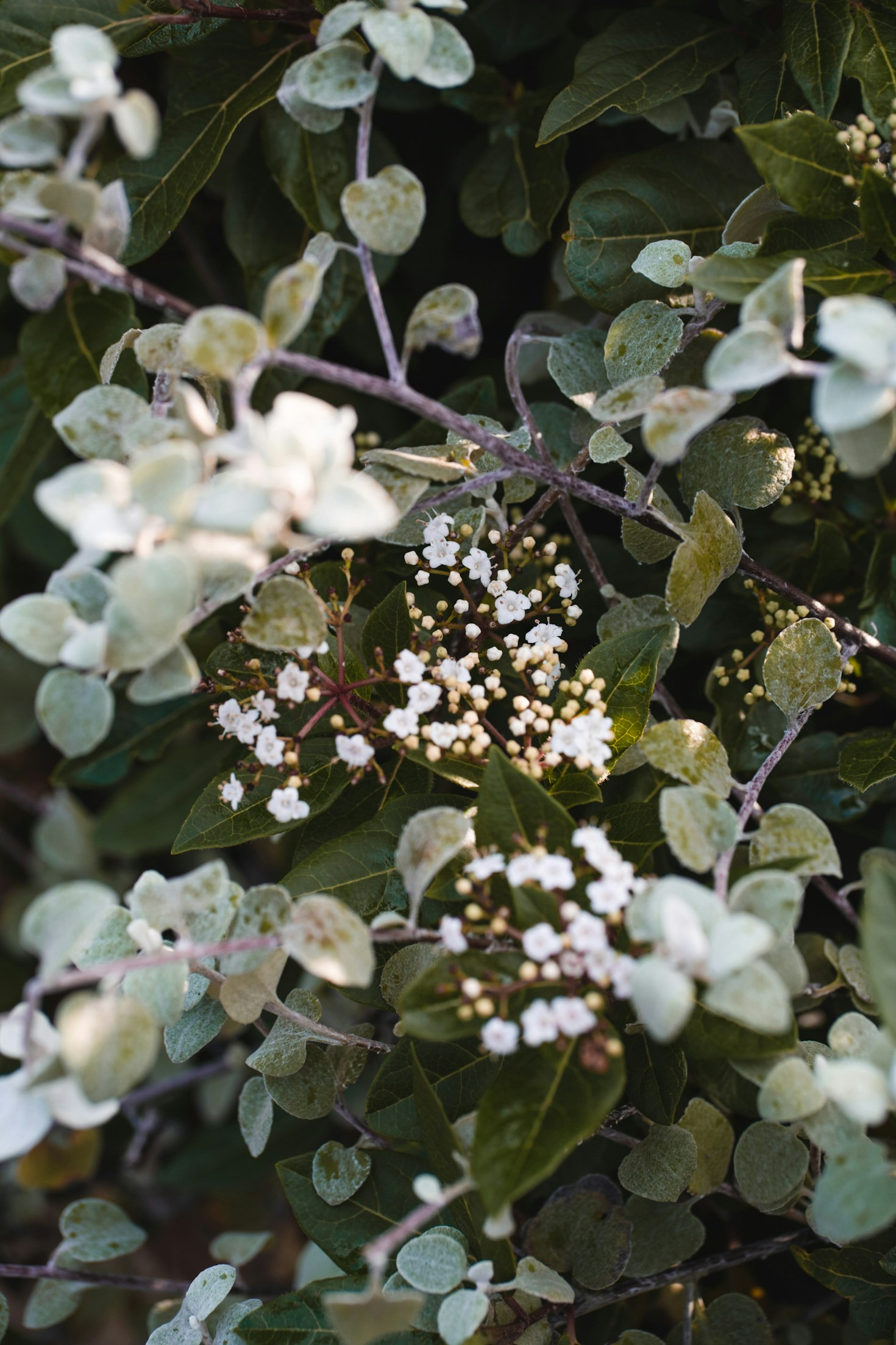 Mindful Living: Embracing a Holistic Lifestyle