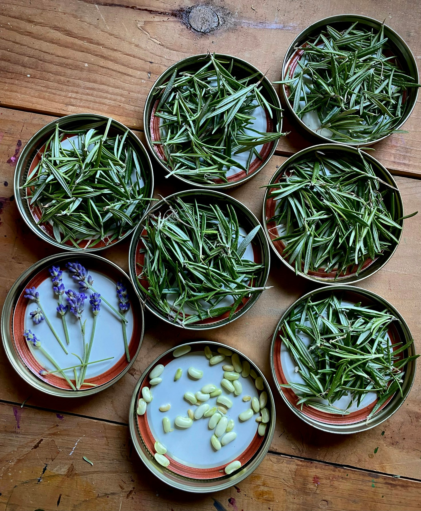 Top 5 Sustainable Practices for Everyday Life